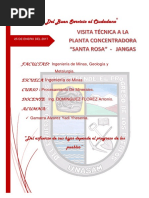 INF.N°02 VISITA A TÉCNICA A LA PLANTA CONCENTRADORA DE JANGAS