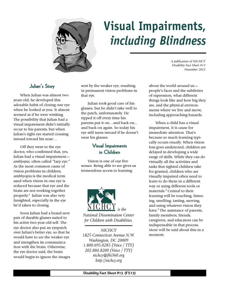 Including Blindness Visual Impairments PDF Visual Impairment