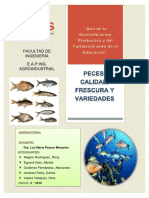 Peces: Calidad, Frescura y Variedades