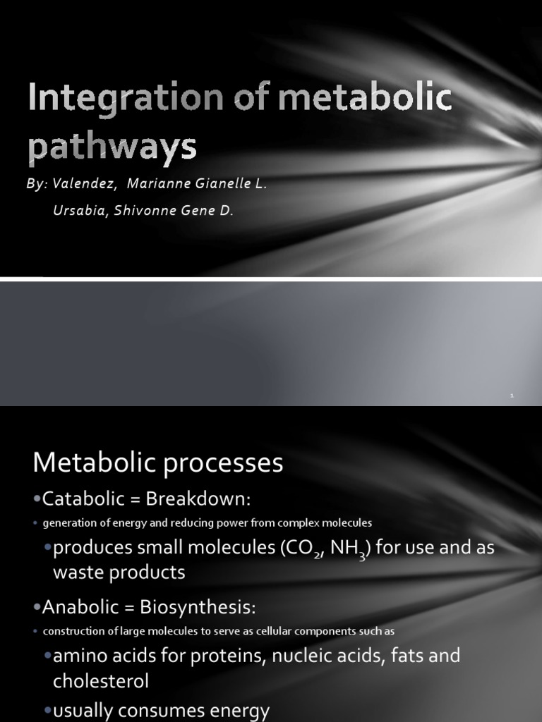 Major Metabolic Pathways PDF Glycolysis Metabolic Pathway