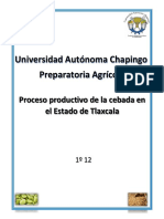 Proceso Productivo de La Cebada en El Estado de Tlaxcala