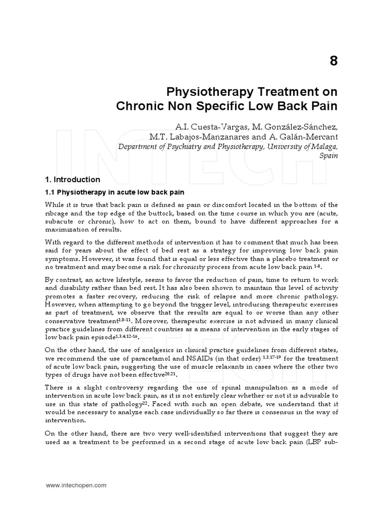 Physiotherapy for Chronic Low Back Pain | PDF | Physical Therapy | Low ...