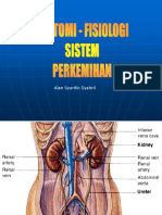 Anatomi fisiologi sistem perkemihan