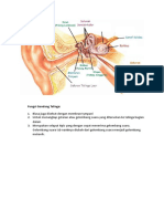 Fungsi Gendang Telinga