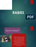 Penyuluhan Rabies