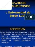Lacaziosis - Lobomicosis