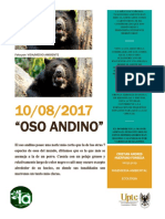 Oso andino