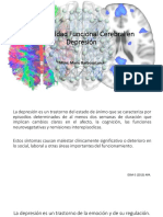 Conectividad Funcional Cerebral en Depresion (3-Abril-2017)