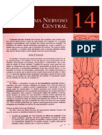 Capitulo 14 SNC PDF