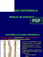 2 Notiuni de Anatomie Normala A Coloanei Vertebrale Si Corelatii Radio Imagistice