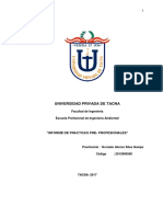 PRACTICAS PRE PROFESIONALES Final PDF