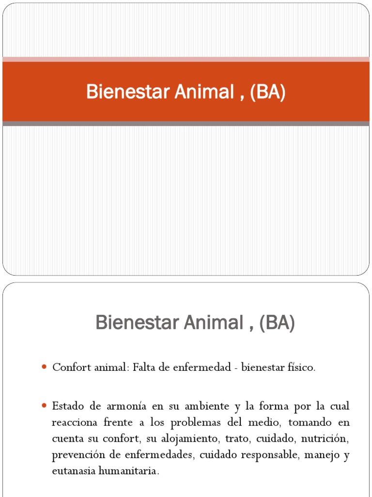 Bienestar Animal | PDF | Bienestar de los animales | Vacas