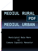 Mediul Rural