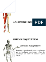 Aparelho Locomotor ENVIAR 1