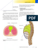 mediastino, pericardio.pdf