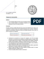 Trabajo_de_Aplicacion_-_Estadistica_1_-_Secciones_C+_y_D.pdf