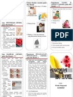 Leaflet Anemia Pada Ibu Hamil