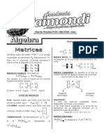 Matrices 20073