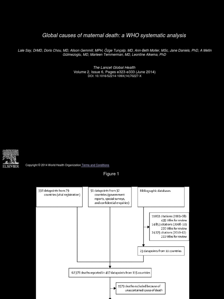 Global Causes of Maternal Death: A WHO Systematic Analysis | PDF ...
