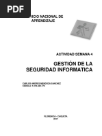 Actvidad Semana 4 Seguridad Informatica