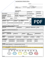 Formatodevaloracionparafisioterapeutas 160517165649