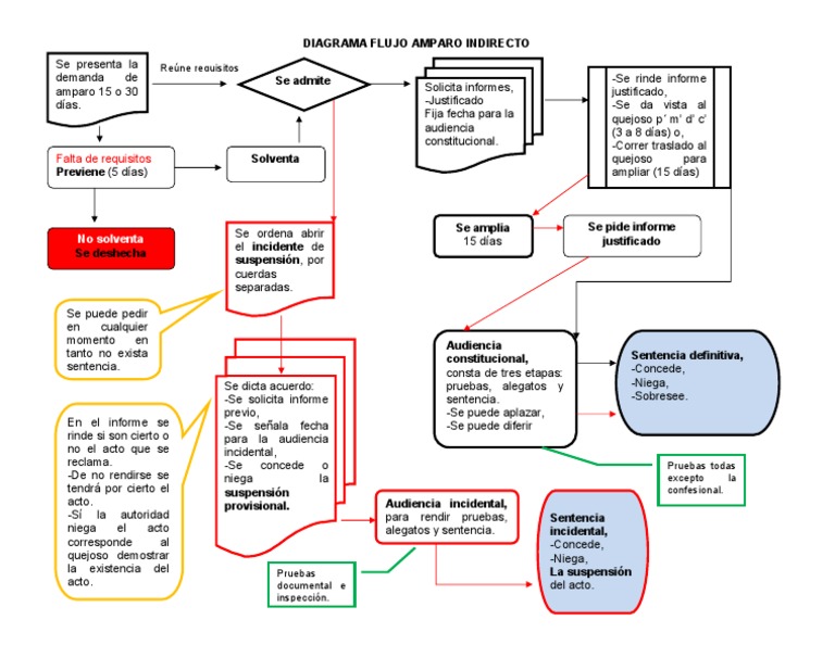 Diagrama de Flujo Amparo Indirecto | Gobierno | Política