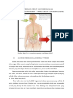 LP Demam Typhoid