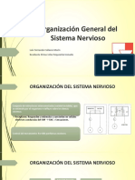 Organización General Del Sistema Nervioso