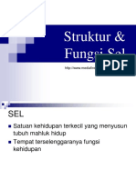 Struktur & Fungsi Sel