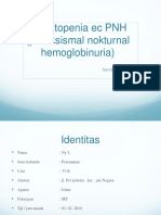 Pansitopenia Ec PNH (Paroksismal Nokturnal Hemoglobinuria) : Sandini Yustialaras 0309222