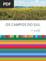 Campos Do Sul