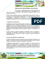 Diagnóstico organizacional generalidades y herramientas.pdf