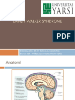 Dandy Walker Syndrome