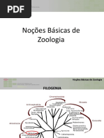 Aula 3- Noções Básicas de Zoologia (Invertebrados I)
