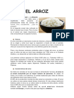 Todo sobre el arroz: tipos, características e historia del cereal más consumido