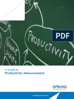 Guidebook_Productivity_Measurement.pdf
