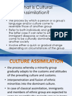 What Is Cultural Assimilation?