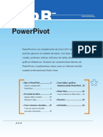 09_Pawer Pivot.pdf