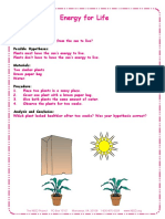 Energy For Life: Grade Levels: Possible Hypotheses