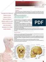 Carpeta de El Sistema Oseo PDF