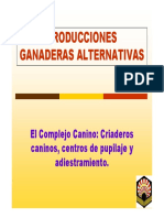 19_17_56_9-PGA-Cria-Canina.pdf