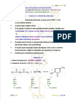 Formato de Labo