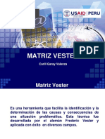 Matriz Vester