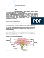12. morfologia y anatomia.doc