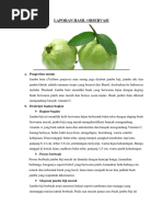 Download Laporan Hasil Observasi Jambu by Minmiee Merry Yelloicy Cathabell SN356351486 doc pdf