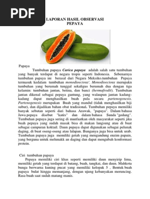 Contoh Teks Laporan Hasil Observasi Tentang Tumbuhan Mangga – Berbagai