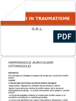 INGRIJIRI IN TRAUMATISME O.R.L.pptx