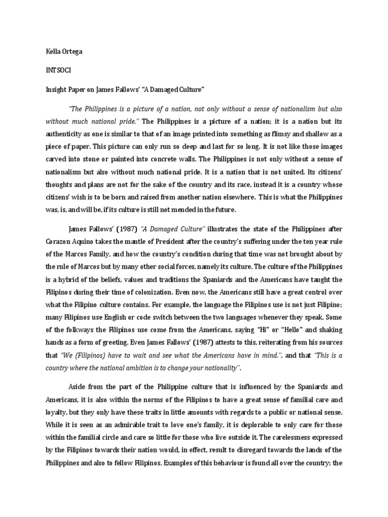 A damaged culture critique image