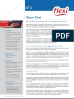 Caso de Exito Flexi PDF