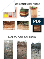 Morfologia Del Suelo Fotos Horizontes